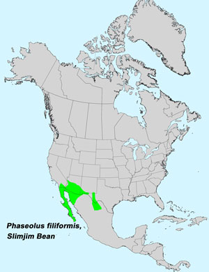North America species range map for Slimjim Bean, Phaseolus filiformis: